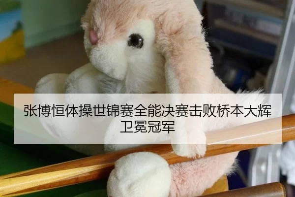 张博恒体操世锦赛全能决赛击败桥本大辉卫冕冠军